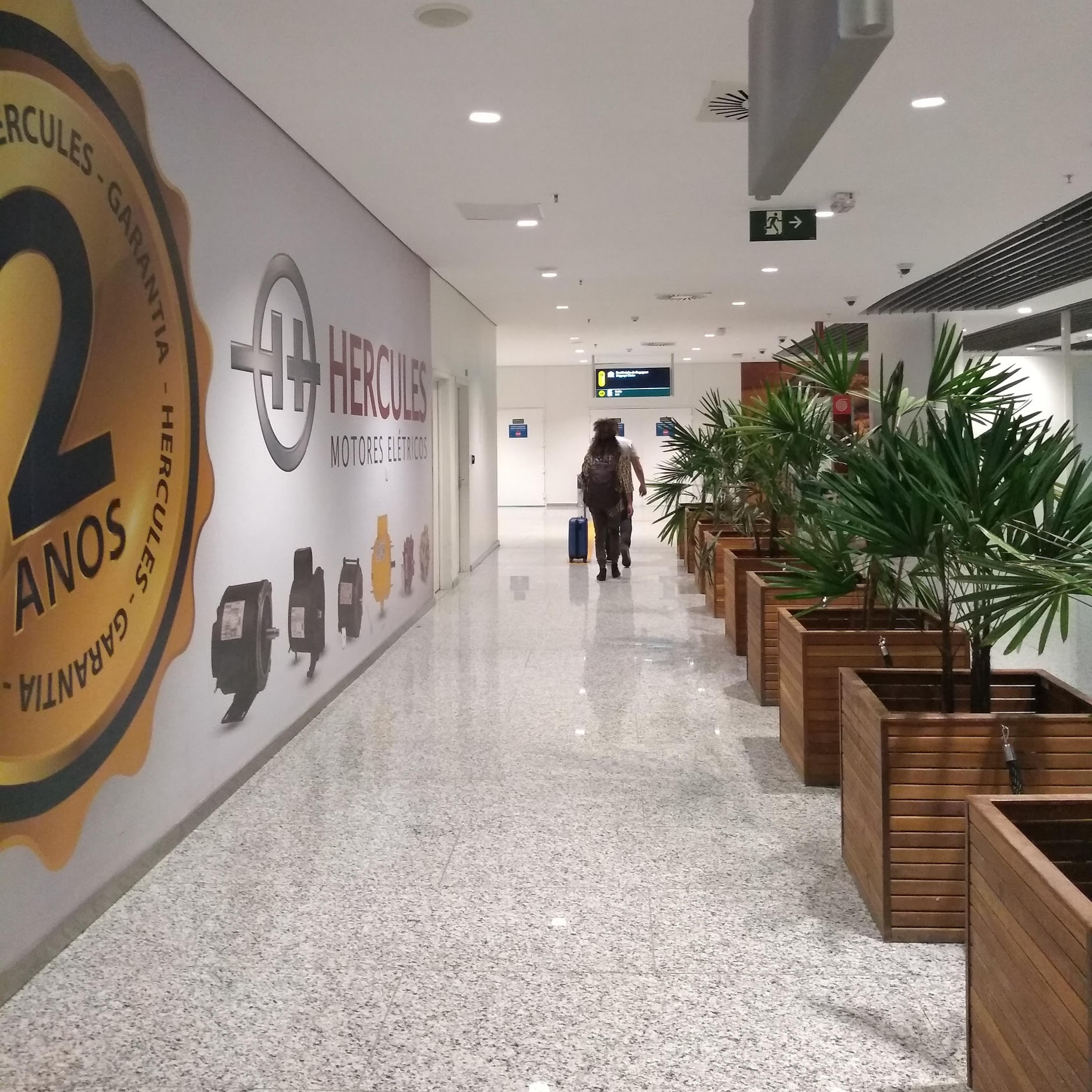 Corredor interno de aeroporto bem iluminado artificialmente, com piso de granito claro refletindo a luz e paredes brancas. Uma pessoa caminha em direção ao fundo puxando uma mala. Há vasos grandes com plantas alinhados do lado direito.